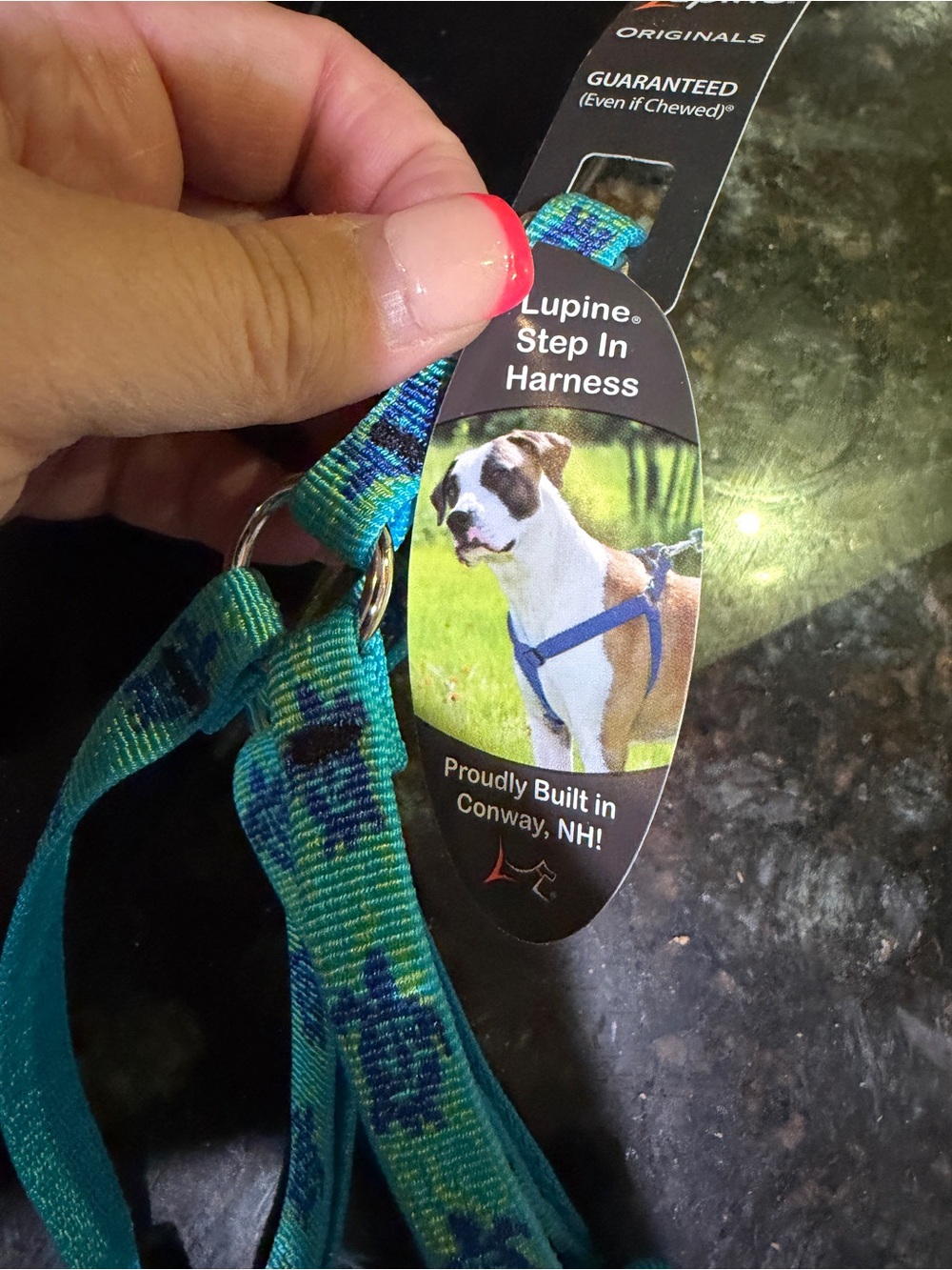Lupine dog harness